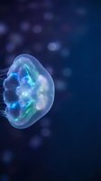Bioluminescent jellyfish with glowing blue and green tentacles swimming in dark ocean waters with bokeh light effects in background.