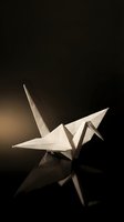 White origami paper crane on dark background with dramatic lighting and reflection for artistic projects and meditation concepts.