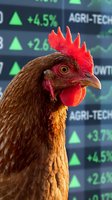 Rooster with bright red comb and wattle against blurred stock market display showing green growth indicators and agricultural technology sector gains.