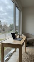 Modern home office workspace with wooden desk, laptop, coffee cup, and potted plant beside large windows overlooking suburban landscape with trees and lawn.
