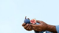 Fresh figs and sliced red fruit in male hand against white background, suitable for food, nutrition, healthy eating, and organic produce marketing materials.