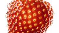 Ripe strawberry with detailed seeds and texture, isolated on white background, suitable for food packaging, culinary designs, and healthy eating concepts.