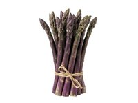 Fresh purple asparagus bunch tied with twine, isolated on white background. Suitable for food, cooking, nutrition, and culinary design projects.