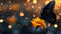Dark butterfly with spotted wings feeding on orange marigold flower against warm bokeh lights background creating magical evening garden atmosphere.