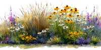 Watercolor wildflower meadow with ornamental grasses, daisies and purple blooms in natural garden landscape for botanical art and home decor projects.