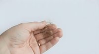 Hand holding clear transparent contact lens on fingertip against white background, vision correction eyewear for daily wear and eye care routine.