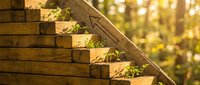 Stack of natural wooden lumber planks with grass growing between boards in warm golden sunlight, construction materials for building projects.