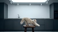 Fluffy ginger cat stretching on wooden stool in modern minimalist kitchen with white walls and dark cabinetry, contemporary interior design.