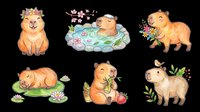 Cute capybara characters with flower crowns and floral elements, isolated on transparent background. Ready for t-shirt design, stickers, clipart, sublimation, print-on-demand products and digital crafts.