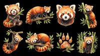 Red panda illustrations isolated on transparent background, ready for t-shirt design, clipart, stickers, sublimation, and print-on-demand products.