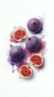 Fresh purple figs with watercolor splashes on white background. Whole and halved fruits showing red flesh. Organic healthy food concept for culinary design.