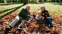 Grandparents and grandchildren playing together in autumn leaves at park, family bonding outdoors.