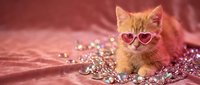 Adorable orange tabby kitten wearing heart-shaped sunglasses surrounded by sparkly beads on pink fabric background for Valentine's Day celebration.