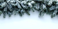 Snow-covered pine branches creating natural winter border on white background, perfect for holiday greeting cards and seasonal designs.