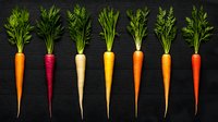 Fresh rainbow carrots lineup on black background, including purple, white, yellow and orange varieties showing diversity of natural vegetables. Organic produce concept.