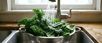 Fresh green kale being rinsed under running water in a stainless steel colander by a bright kitchen window, ideal for healthy eating and cooking content.