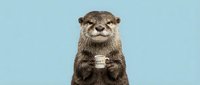 Otter holding a small white card or label against soft blue background, studio portrait style shot for wildlife and animal themed designs.