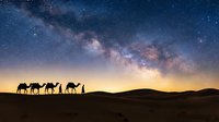 Camel caravan silhouettes crossing desert dunes under spectacular Milky Way galaxy with starry night sky and golden horizon glow for travel and adventure themes.