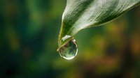 Water droplet hanging from green leaf with blurred natural background, suitable for environmental, nature, and wellness design projects.