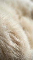 Soft cream colored animal fur texture with natural hair patterns and gentle lighting for luxury fashion and textile design backgrounds.