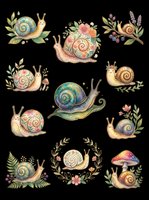 Whimsical snails with ornate shells in various watercolor styles, surrounded by botanical elements like flowers, leaves, and herbs. Each snail features unique shell patterns and colors ranging from blues and greens to warm earth tones. Isolated on transparent background, ready for t-shirts, stickers, clipart, sublimation, and print-on-demand designs.