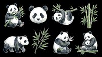Cute panda bear clipart set with bamboo, isolated on transparent background. Great for stickers, t-shirt design, print on demand, and sublimation projects.