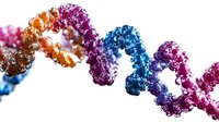 Colorful DNA double helix structure in vibrant blue, purple, and orange gradient colors against white background, molecular biology and genetic research visualization.