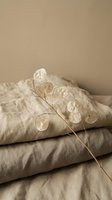 Dried honesty plant branch with translucent seed pods on neutral linen bedding creating minimalist natural home decor aesthetic.