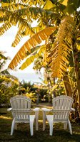 Two white adirondack chairs under golden palm trees in warm sunlight creating peaceful vacation atmosphere for relaxation and leisure outdoor living.