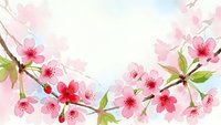 Delicate pink cherry blossom branches with soft petals and green leaves create romantic spring floral border on light watercolor background.