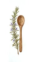 Wooden spoon with fresh rosemary herb sprig and purple flowers isolated on white background for culinary design and cooking projects.