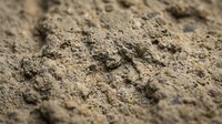 Dry sandy soil texture with granular particles and uneven surface, suitable for construction, landscaping, agriculture, and environmental backgrounds.