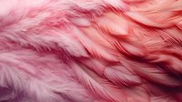 Soft pink feathers creating delicate texture and pattern, natural light illuminates fluffy plumage with gentle shadows and highlights for luxurious background design.