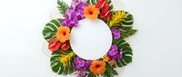 Tropical floral wreath with vibrant hibiscus flowers and monstera leaves arranged in circle with white center space for text on clean background.