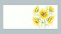 Watercolor sunflowers bouquet on white background, horizontal banner with copy space for text, summer floral greeting card design.