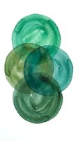 Abstract watercolor circles in emerald and teal green tones overlapping on white background creating organic artistic composition for modern decor.