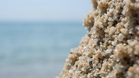 Close-up of white coral or shell fragments clustered on rocky surface with blurred ocean and sky background, suitable for marine, nature, and coastal design projects.