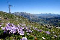 Wind turbine on mountain ridge with purple wildflowers blooming in alpine meadow, dramatic mountain range and green valleys stretching to horizon under blue sky.
