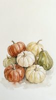 Watercolor autumn pumpkins and gourds arrangement in orange, white and green colors on neutral background for seasonal harvest decoration.