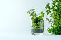 Fresh green herbs and microgreens in glass on white background, minimalist food styling composition for healthy eating and natural ingredients.