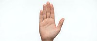 Open palm hand gesture showing stop sign isolated on white background for communication and body language concepts.