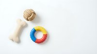 Pet toys flat lay on white background: rubber bone, rope ball, and colorful teething ring isolated for veterinary and pet care design.