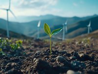 Young green seedling growing from soil with wind turbines and mountains in background, symbolizing renewable energy and environmental sustainability.