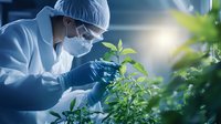 Scientist in protective equipment examining young green plant in modern laboratory setting with natural sunlight streaming through window. Research in botany.