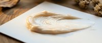 Isolated endive leaf on white surface with natural lighting, suitable for food styling, culinary design, restaurant menus, and healthy eating content.