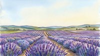 Expansive lavender field with purple blooms stretching toward distant hills under soft sky, ideal for travel, agriculture, and nature-themed designs.
