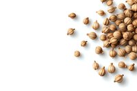 Dried coriander seeds scattered on white background with copy space. Natural spice ingredient isolated with soft shadow for culinary and cooking designs.