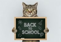 Tabby cat holding chalkboard with back to school text and educational icons, isolated on white background for design projects.