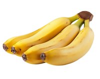 Fresh ripe yellow bananas bunch isolated on white background, healthy tropical fruit for nutritious snack or smoothie ingredient.