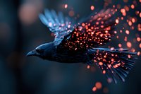 Mystical black raven in flight with glowing orange sparks and blue light effects trailing behind, creating magical atmosphere against dark background.